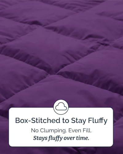 Twin XL Comforter Set - Purple Bedding for All Seasons - 2 Piece Bed Set