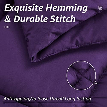 HYLEORY All Season Full Size Bed Comforter - Cooling Down Alternative Quilted Duvet Insert with Corner Tabs - Winter Warm - Machine Washable - Purple