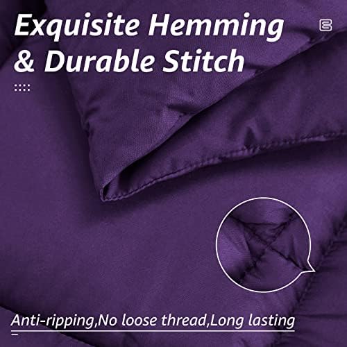 HYLEORY All Season Queen Size Bed Comforter - Cooling Goose Down Alternative Quilted Duvet Insert with Corner Tabs - Winter Warm - Machine Washable - Purple