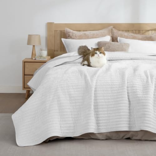 BEDELITE Velvet Quilt Set Queen Size, Luxury Velvet Comforter Bedding