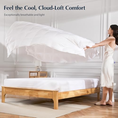 Pacific Coast Lightweight Goose Feather Down Fiber Comforter Twin Size, Summer Duvet Insert, Ultra Soft, Breathable, Hotel Luxury Bedding with 8 Tabs, White, 68 x 90 Inches