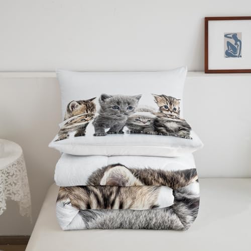 Feelyou Kids Cute Cat Bedding Set - Toddler Cartoon Pet Cats Comforter Set for Girls & Boys - Cute Kitten Room Decor - Kawaii Animal Theme Quilt Set - Queen Size with 2 Pillow Cases