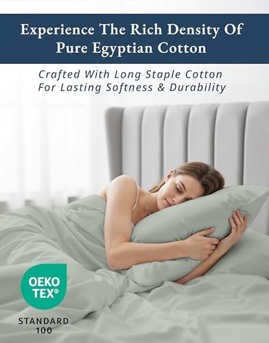 LANE LINEN King Sheets 100% Egyptian Cotton Sateen - Silver Swiss Dot
