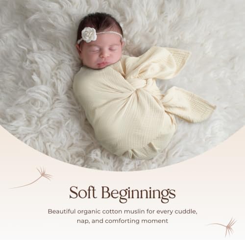 100% Cotton Organic Muslin Baby Swaddle Blanket GOTS & Fairtrade Certified Organic Cotton - Couch Living Room and Bedroom Decor - 4 Layer Super Soft and Cozy (Natural, Baby)