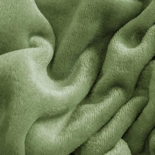 BEDELITE Flannel Sheet Set, California King Size, Green, 4 Pieces