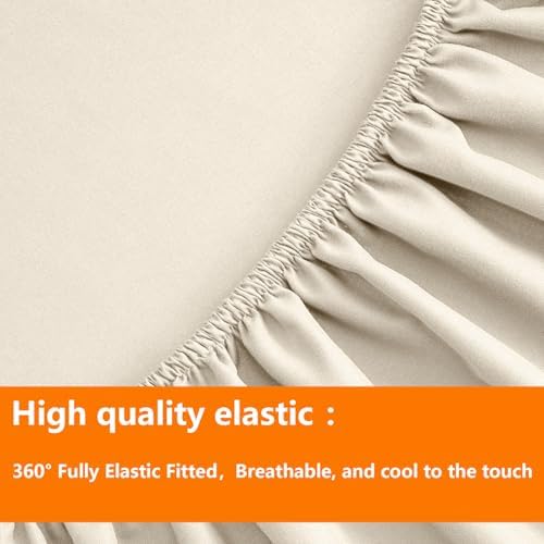 TAIMIT Light Beige Twin Size Comforter Set - 5 Pieces, Bed in a Bag Bedding Sets with All Season Soft Quilted Warm Fluffy Reversible Comforter,Flat Sheet,Fitted Sheet,1 Pillow Shams,1 Pillowcases