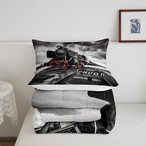 Retro Train Boys Bedding Set Queen Size,Black Red Old Train Car Comforter Set Rail Transportation Vehicles Quilt Set for Kids Girls Teens Room Decor,Vintage 3D Train Duvet Insert,2 Pillowcases
