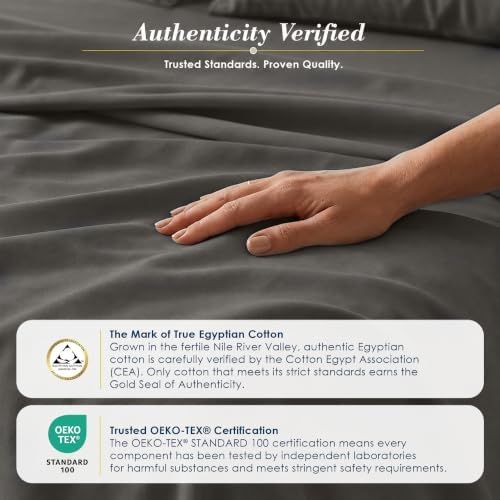 Therapedic 100% Egyptian Cotton 6 Piece King Size Sheets Set (Charcoal)