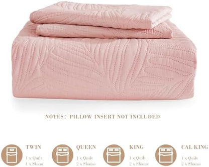 Exclusivo Mezcla Lightweight Full Queen Quilt Bedding Set, Soft Microfiber