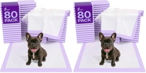 GREEN LIFESTYLE Pee Pads - Super Absorbent & Leak-Proof Pee Pads for Dogs - Puppy Pads - Waterproof Dog Pads, Dog Training Pads for Cats, Rabbits (Pack of 160 - 22x22)