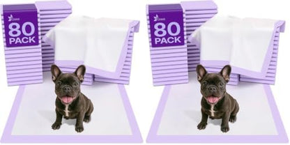 GREEN LIFESTYLE Pee Pads - Super Absorbent & Leak-Proof Pee Pads for Dogs - Puppy Pads - Waterproof Dog Pads, Dog Training Pads for Cats, Rabbits (Pack of 160 - 22x22)