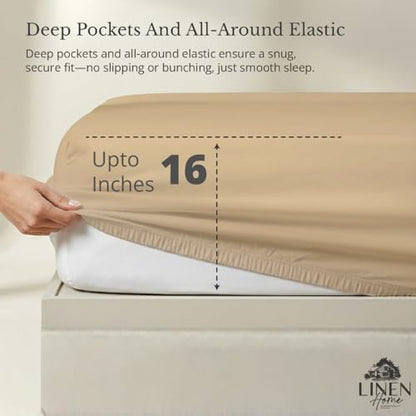 Linen Home 100% Cotton Percale Twin Size Fitted Sheet only, Light Taupe