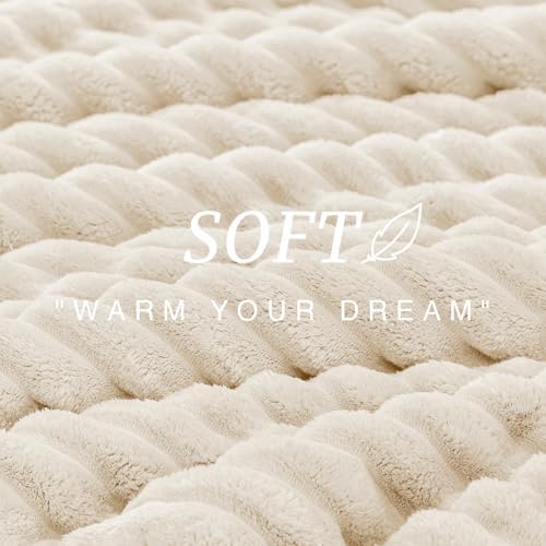 EXQ Home Fluffy Comforter Set Queen Size,3 Pieces Bed Set,Cream White
