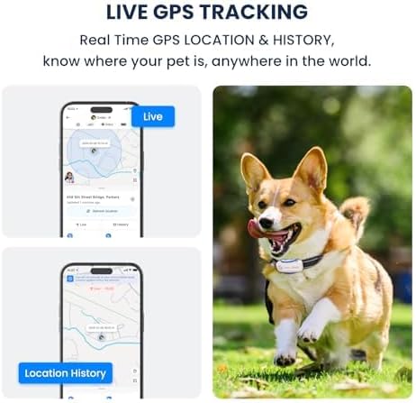 AI GPS Dog Tracker, Virtual Fence & AI Health Monitor, Waterproof