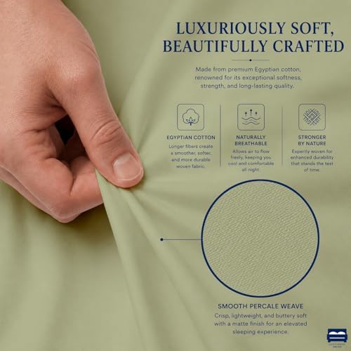 Cottingon 4 Piece Full Sheets Fits 16" Deep, Egyptian Cotton, Sage