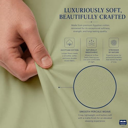 Cottingon 4 Piece Full Sheets Fits 16" Deep, Egyptian Cotton, Sage