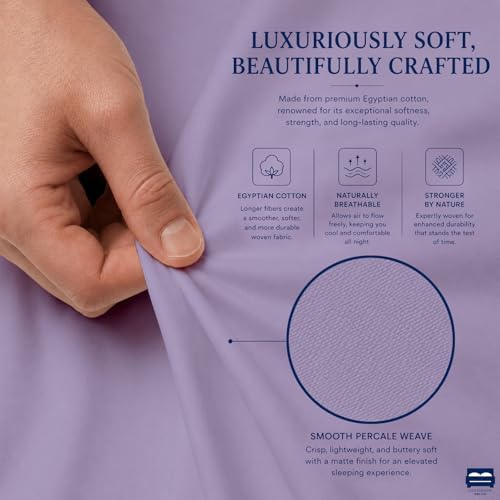 Cottingon 4 PC Olympic Queen Sheets, 15" Deep, Egyptian Cotton, Lavender