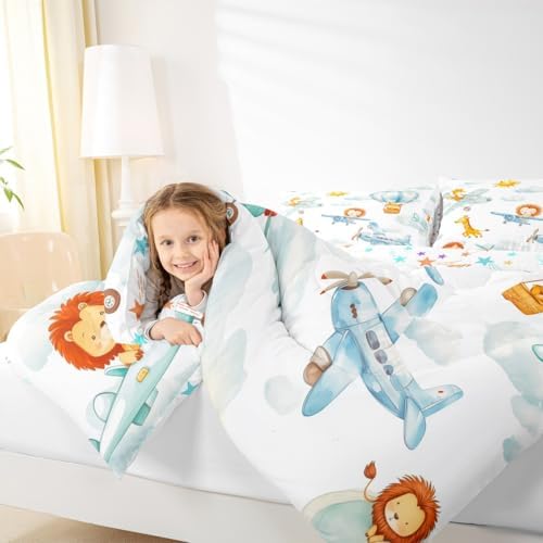 Erosebridal Cute Airplane Comforter Set Queen, Cartoon Aircraft Bedding Set, Lovely Lion Giraffe Hamster Wild Animals Comforter, White Cloud Quilt for Boys Kids Girls Teens Adults Bedroom