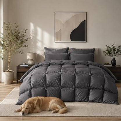 Feather Down Fiber Comforter Twin Size,Premium Ultra-Soft Breathable Comforter High Fill Power Grey Duvet Insert,All Season Hotel Luxury Bedding Comforters 8 Corner & Center Loops,Baffle Box Design