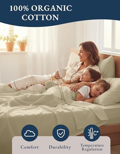 LANE LINEN 100% Organic Cotton Twin Size Bed Sheets, Fully Elasticized Mercerised Cotton Bed Sheet Set, Soft & Comfy Low Pill Face Resistant Bedding Sheets & Pillowcase Set- Linen
