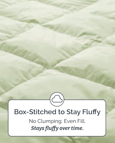 Twin XL Comforter Set - Light Sage Green Bedding, All Seasons - 2 Piece Set