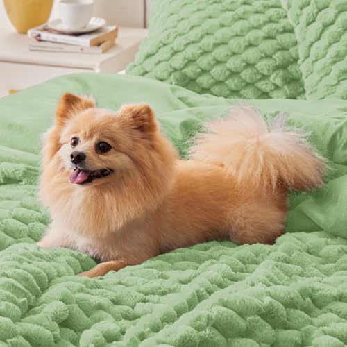 BEDELITE Fluffy Queen Comforter Set, Grass Green Fleece Bed Set 3 Pieces