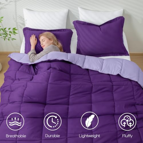 HIG 3pc Purple Queen Size Bedding Comforter Set Duvet Insert Blanket