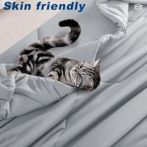 Cooling Comforter Twin Size, Double-Sided Cold Tech Fabric Quilted Bed Comforters Cooling Blanket for Hot Sleepers, Breathable Lightweight Summer Bedding, All-Season Ice Blanket, Light Gray