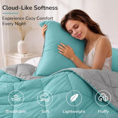 downluxe Twin Comforter Set Soft Reversible 2 Pieces, Light Blue/Gray