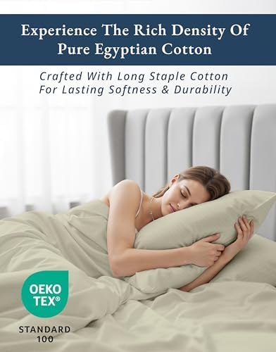 LANE LINEN 100% Egyptian Cotton Sheets Queen Size Sateen - Linen Swiss Dot