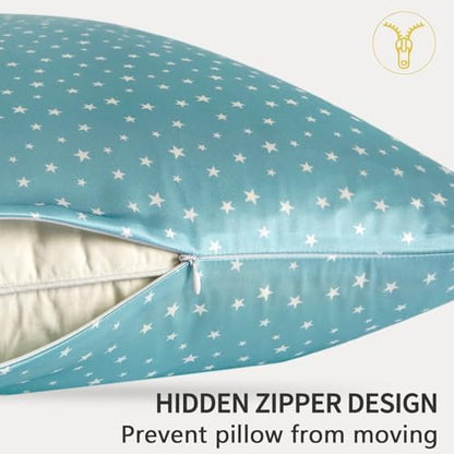 ZIMASILK 100% Pure Mulberry Silk Pillow Cases for Hair and Skin, Standard
