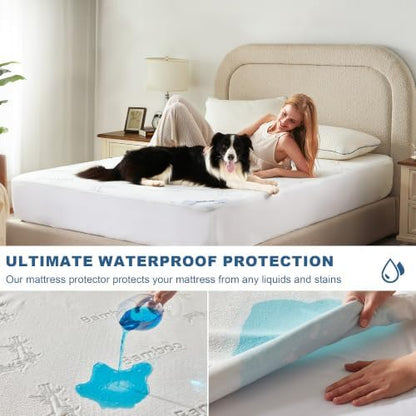 BEDLORE Queen Size Waterproof Mattress Protector Bamboo Viscose Bed Cover