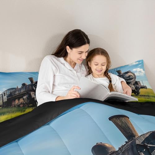 Erosebridal Train Comforter Sets Twin Size Retro Steam Engine Bedding Set for Kids Boys Teens,Railway Track Transport Duvet Sets,Green Grass Blue Sky Down Comforter with 1 Pillow Case