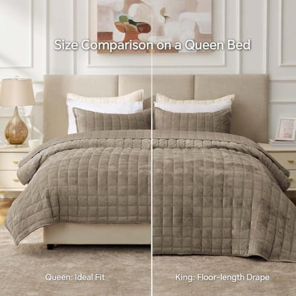 BEDELITE Velvet Quilt Set Queen Size, Luxury Velvet Comforter Bedding