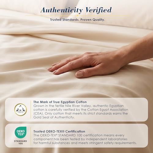 Therapedic 100% Egyptian Cotton 6 Piece California King Sheets Set (Fog)