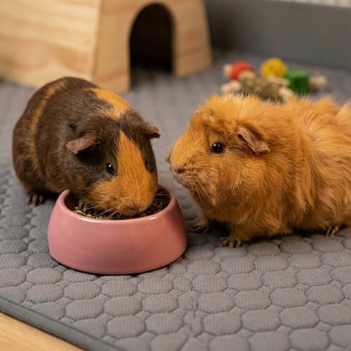 Washable Guinea Pig Cage Liner, 24"x36" Fleece Bedding 3 Pack, Gray