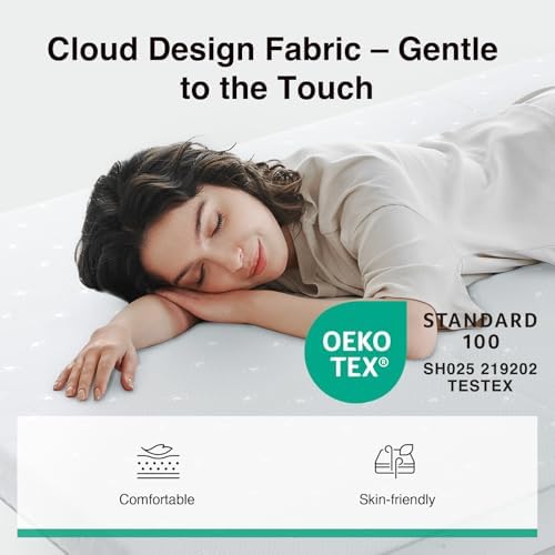 Novilla Foldable Mattress Topper, Queen Size Comfort Foam Trifold Mattress with Cloud Design Cover, 4 Inch Folding Mattress for Back Pain Relief, Suitable for Camping, RV Travel, 80"x60"x4"