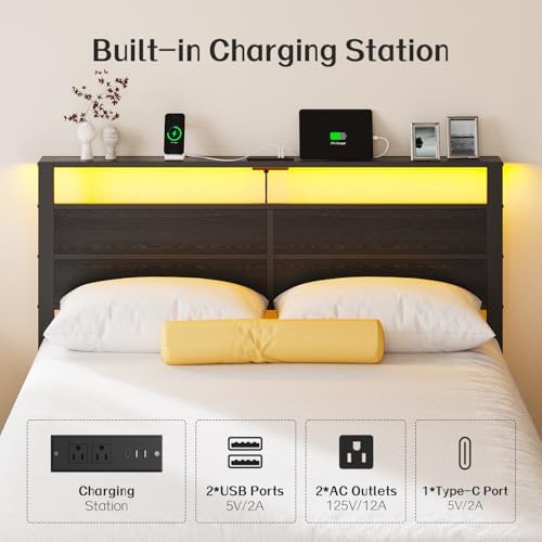 Liians Queen Size Black Metal Bed Frame with USB Type-C Charging Headboard, Smart LED Lights, Noise-Free Platform Bed, No Box Spring Needed, Easy Assembly