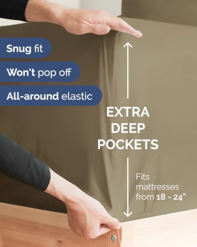 CGK Linens 2 Pack Extra Deep Twin Fitted Sheets - Khaki
