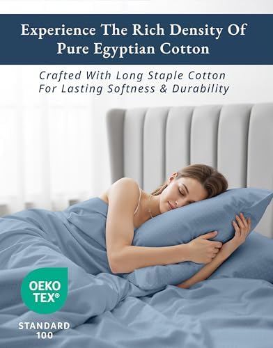 LANE LINEN Queen Size Sheets Sateen Weave - French Blue Swiss Dot