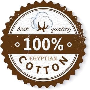 Queen Pillow Shams Set of 2 White 100% Egyptian Cotton 600 Thread Count Soft & Skin Friendly White Pillow Shams Queen Size 20x30 Cushion Cover Cases Decorative Pillow Shams for Bed