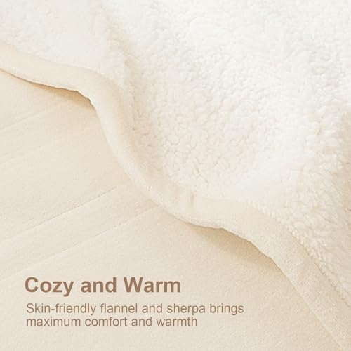 Electric Blanket Queen Size, Dual Control Queen Heated Blanket
