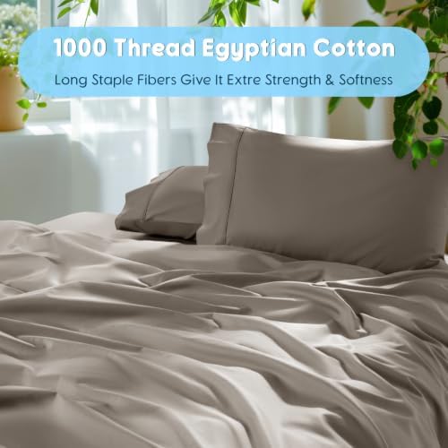 SONORO KATE 1000 Series 100% Egyptian Cotton Queen Sheet Set,4 Pieces