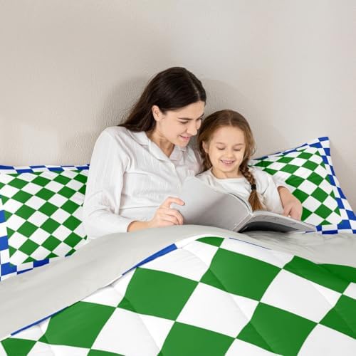 Feelyou Checkered Geometric Bedding Set for Boys Girls Blue Green Plaid Comforter Set Toddler Size Checkerboard Modern Aesthetic Duvet Quilt Reversible Grey Bedroom Decor 2 Pcs with 1 Pillow Cases