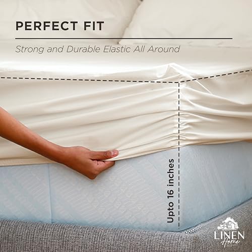 Linen Home Queen Size Fitted Sheet only 100% Cotton Percale, Ivory