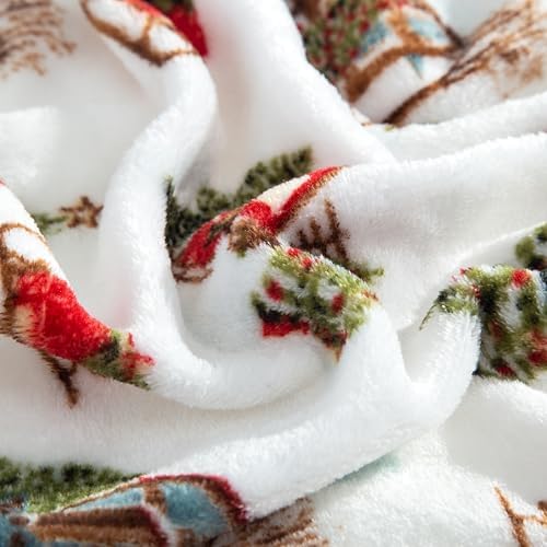 Elegant Comfort Luxuriously Soft 4-Piece Holiday Velvet Plush Flannel Sheet Set - Premium Quality - Cozy Warm, Christmas Fuzzy Velvet Flannel Fleece Deep Pocket Sheet Set - King, Bungalow