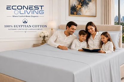 Queen Size Bed Sheets, Egyptian Cotton 6-Piece Set, Deep Pocket, Light Gray