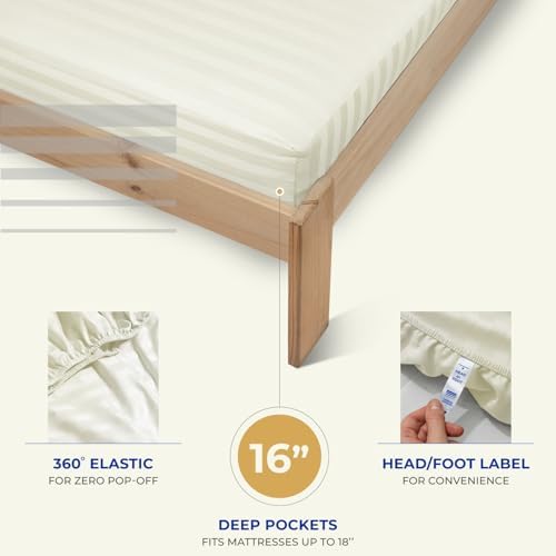 THREAD SPREAD Egyptian Cotton Sheets King Size - 1000 Series High Thread Count Cotton King Size Sheets Set (4 PC, Ivory - Stripe), 16" Snug Fit Deep Pocket, Sateen Weave Ultra-Soft Hotel Luxury Sheet