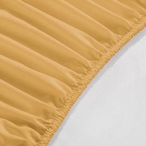 Elegant Comfort 1500 Premium Hotel Quality 18-24 Inches Deep - Extra Deep Pocket Single Fitted Sheet for High Mattress, Luxury and Softest, Smart Pocket - Wrinkle Free, Twin/Twin XL, Gold