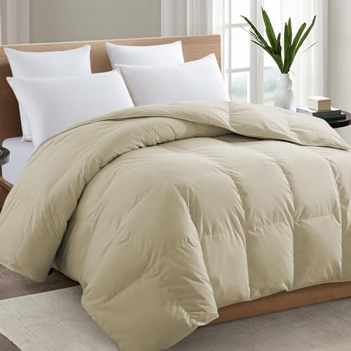 TEXARTIST Queen Comforter, All Season Down Alternative Beige Duvet Insert